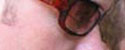 Link to full sized version of 029.jpg